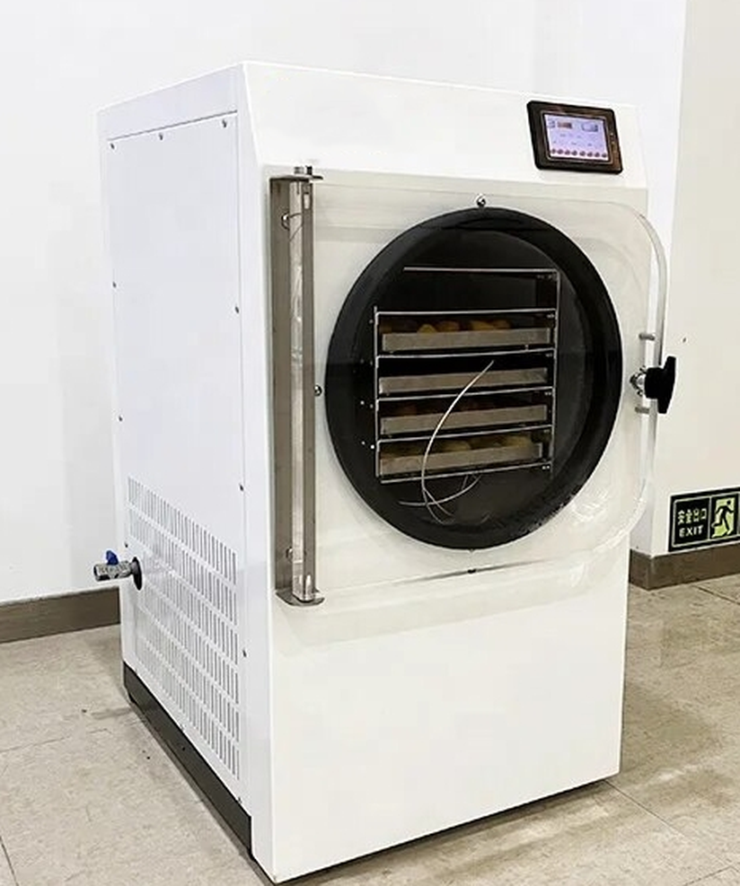 Freeze dryer | Shaanxi achieve chem Freeze dryer | Shaanxi achieve chem